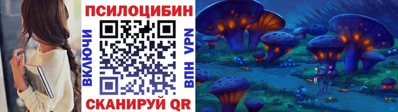 Псилоцибиновые грибы Cubensis  Купить где  Новосибирск 
