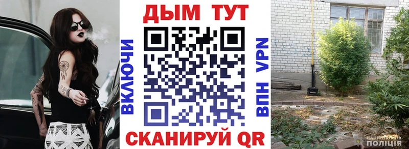 Купить закладки  Новосибирск  Марихуана планчик 